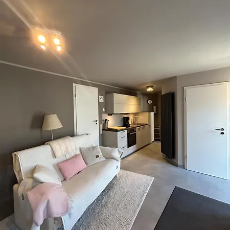 Апартаменты Helle Souterrain-wohnung Mit Eigenem Eingang Эрфтштадт